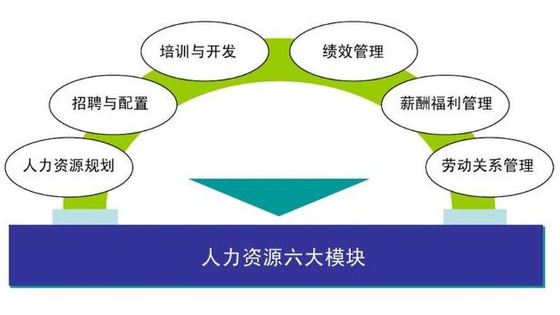中小企业RPO公司排名：揭秘人才招聘背后的秘密